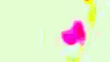 Rajasthani Randi drinking whisky showing pussy